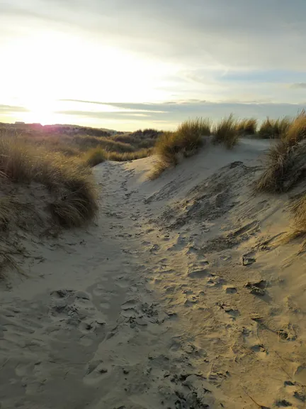 Oostnieuwkerke duinen wandeling in de koude (België)